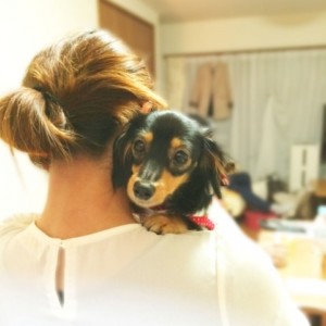 顔以外見えていない部分が多すぎるため ペットフィギュア用写真として不適切な例2